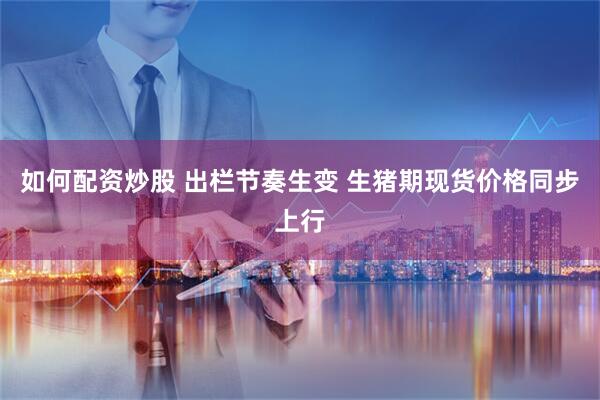 如何配资炒股 出栏节奏生变 生猪期现货价格同步上行