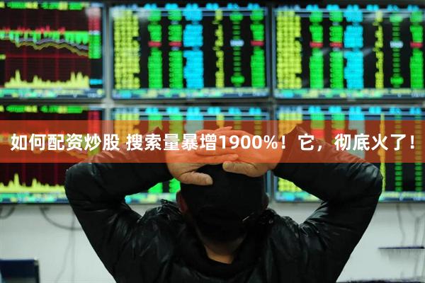 如何配资炒股 搜索量暴增1900%！它，彻底火了！