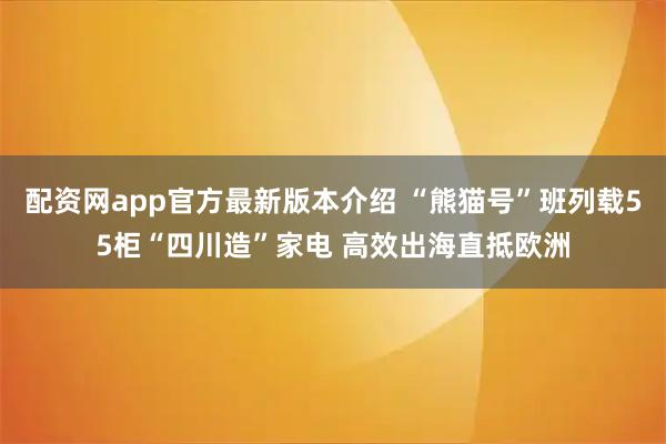 配资网app官方最新版本介绍 “熊猫号”班列载55柜“四川造”家电 高效出海直抵欧洲